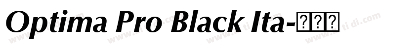 Optima Pro Black Ita字体转换